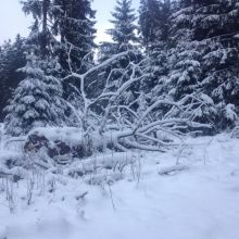 Sneeuwlandschap bij Savita